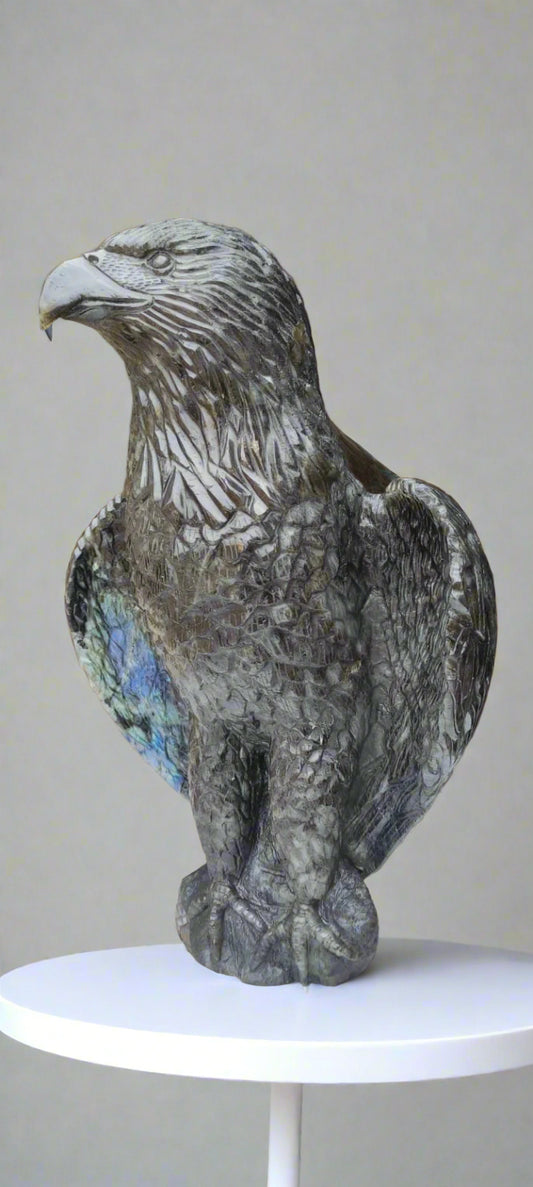 Eagle in labradorite